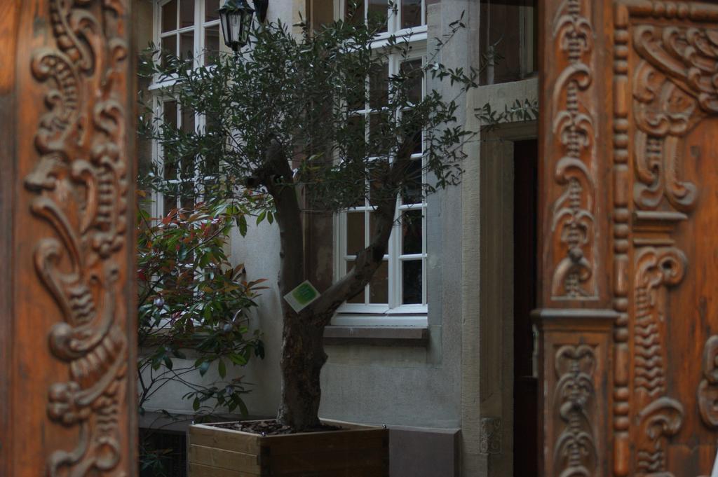 ستراسبورغ Quai 17 Maison D'Hotes المظهر الخارجي الصورة