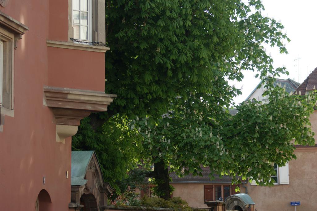 ستراسبورغ Quai 17 Maison D'Hotes المظهر الخارجي الصورة